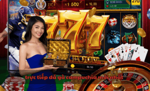 Trực tiếp đá gà Campuchia mới nhất